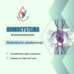 Homocysteina